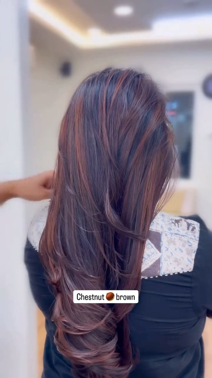 Long dark hair with warm chestnut highlights styled in loose salon curls