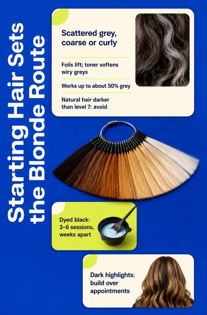 Beauty graphic showing starting hair color and grey placement for blonde coloring