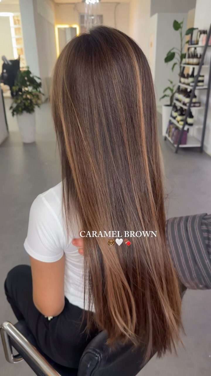 Long brown hair with glossy caramel-cinnamon highlights in a salon
