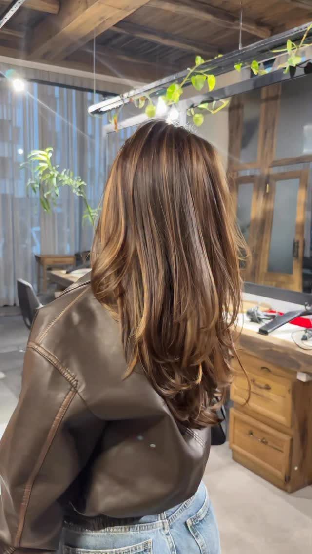 Long dark brunette hair with lighter highlights in selected sections, seen from behind