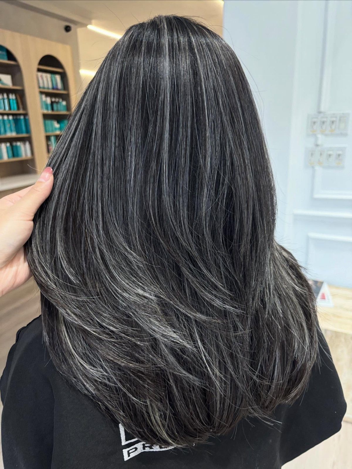 Long dark hair with fine silver-gray highlights, held at the side