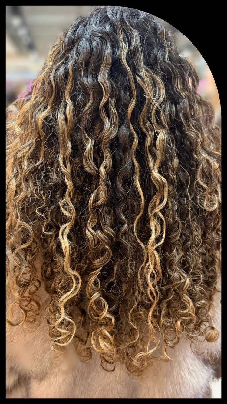 Long dark curls with blended caramel and blonde dimensional highlights